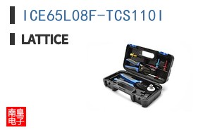 ICE65L08F-TCS110I