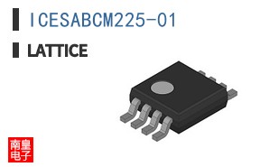 ICESABCM225-01